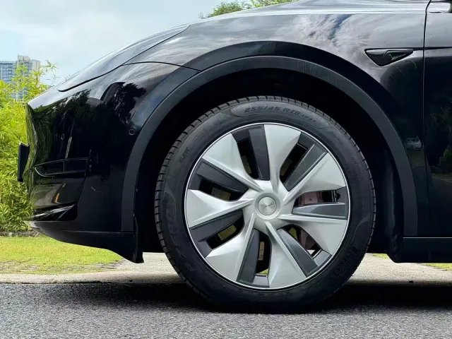 Tesla Model Y — Фото автомобиля 15