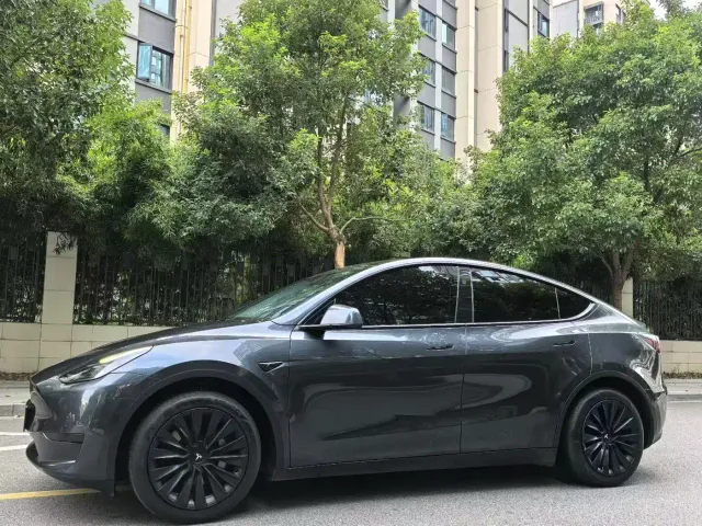 Tesla Model Y — Фото автомобиля 2