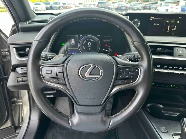Lexus Lexus UX Electric 2020 300e Pure Yue Edition — Фото автомобиля 14