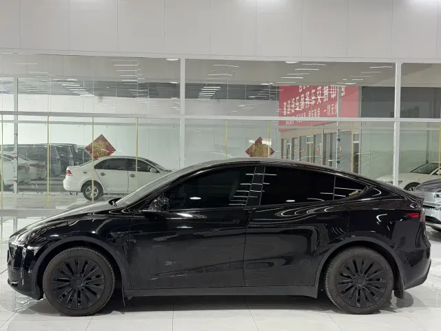 Tesla Model Y — Фото автомобиля 2