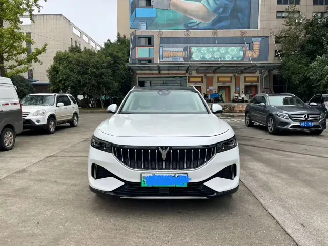 Voyah Auto VOYAH FREE 2021 4WD Pure Electric Launch Edition Exclusive Luxury Package — Фото автомобиля 2