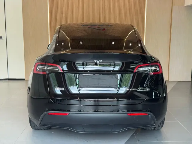 Tesla Model Y — Фото автомобиля 19