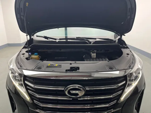 GAC Trumpchi M8 — Фото автомобиля 21