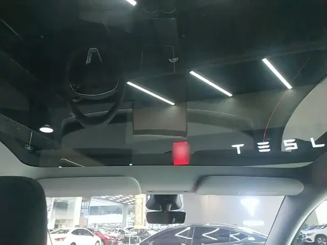 Tesla Model Y — Фото автомобиля 17