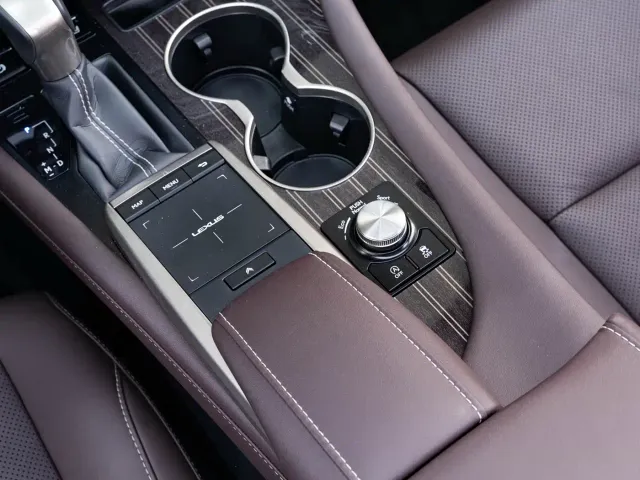 Lexus RX — Фото автомобиля 18