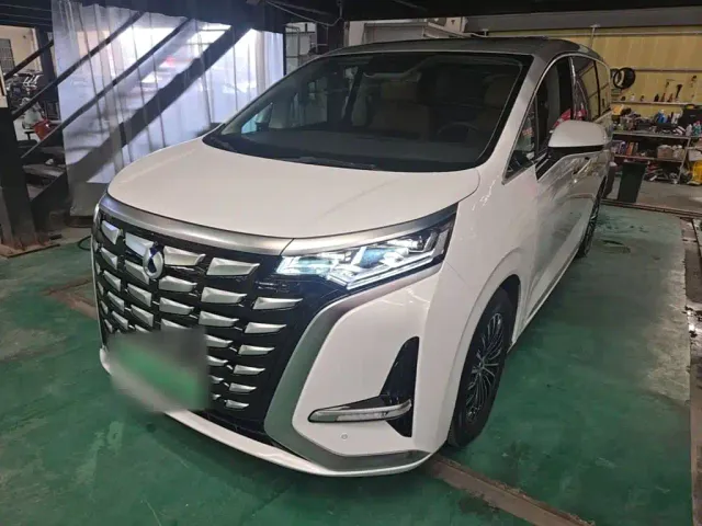 Фотография автомобиля — Denza D9