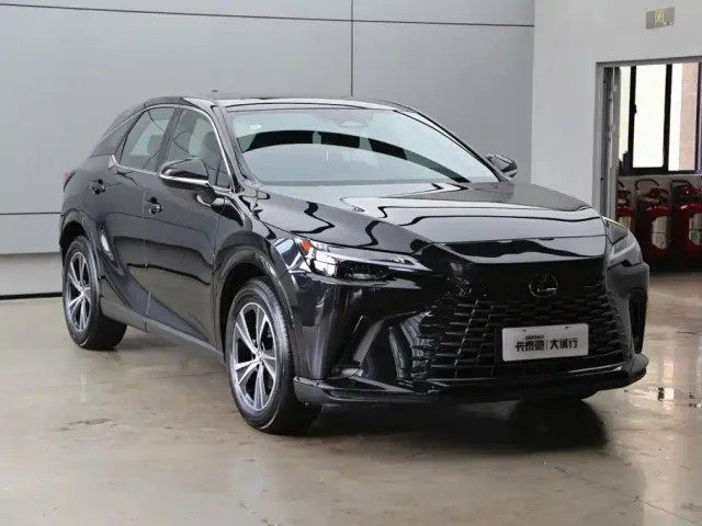 Lexus RX — Фото автомобиля 30