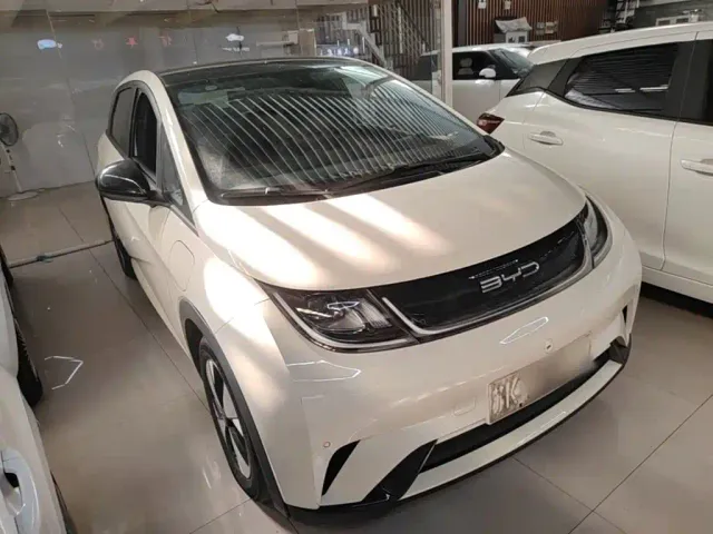 BYD Dolphin — Фото автомобиля 3