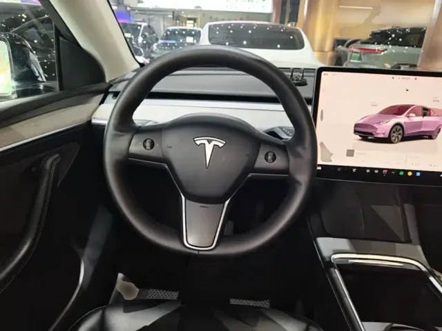 Tesla Model Y — Фото автомобиля 10