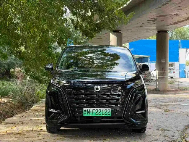 Denza D9 — Фото автомобиля 2