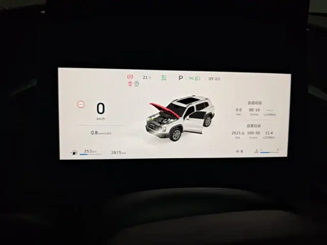 Haval Big Dog — Фото автомобиля 11