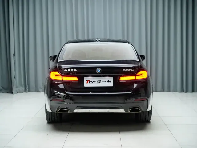 BMW 5 Series — Фото автомобиля 11