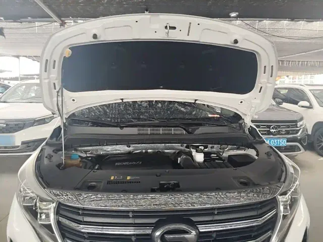 GAC Trumpchi M8 — Фото автомобиля 19