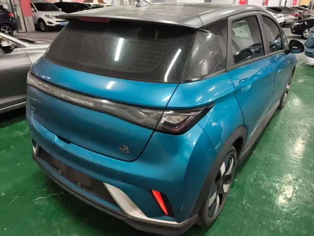 BYD Dolphin — Фото автомобиля 6