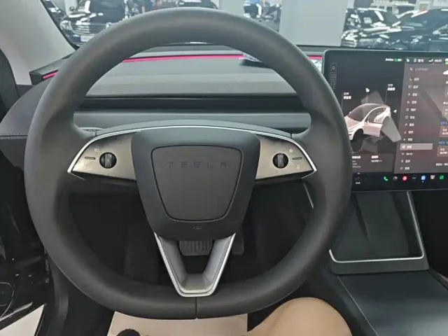 Tesla Model Y — Фото автомобиля 10