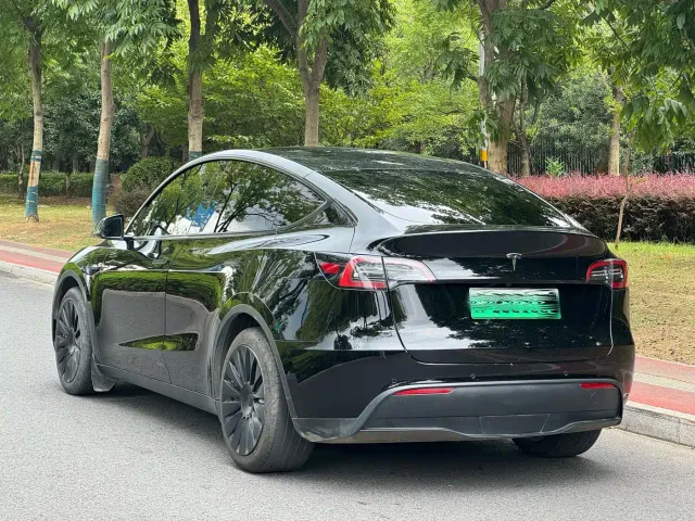 Tesla Model Y — Фото автомобиля 14