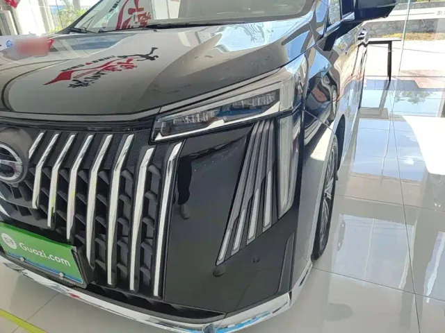 GAC Trumpchi M8 — Фото автомобиля 23