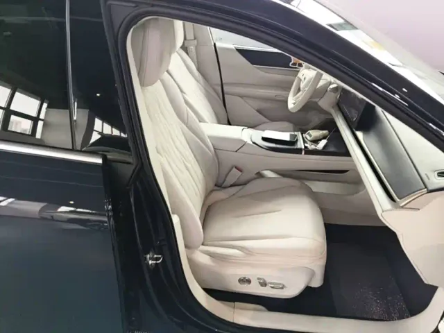 Buick Electra L7 — Фото автомобиля 24