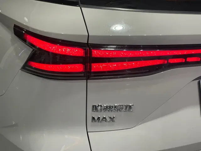 Haval Xiaolong MAX — Фото автомобиля 21