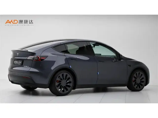 Tesla Model Y — Фото автомобиля 3