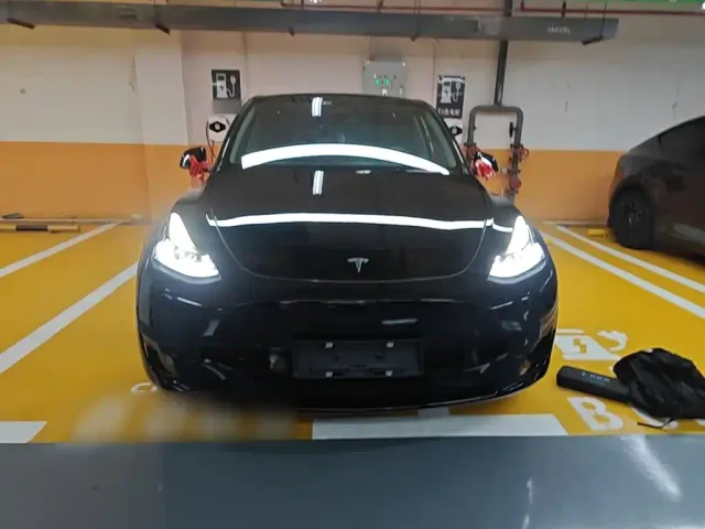 Tesla Model Y — Фото автомобиля 2