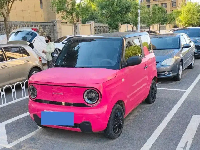 Фотография автомобиля — Geely Panda