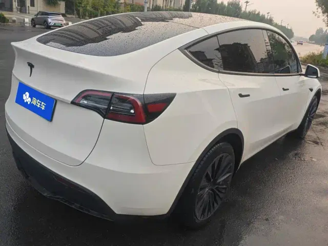 Tesla Model Y — Фото автомобиля 3