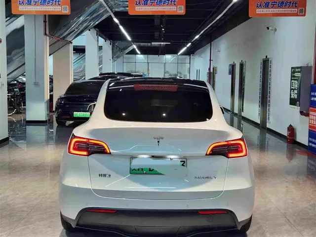 Tesla Model Y — Фото автомобиля 10
