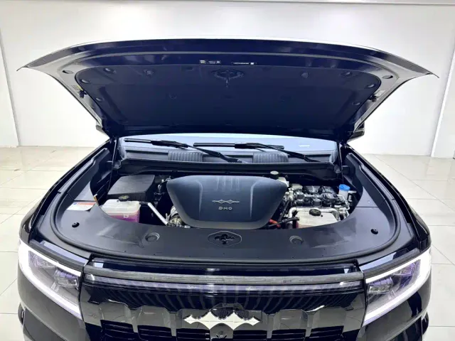 BYD FangChengBao Leopard 8 — Фото автомобиля 26