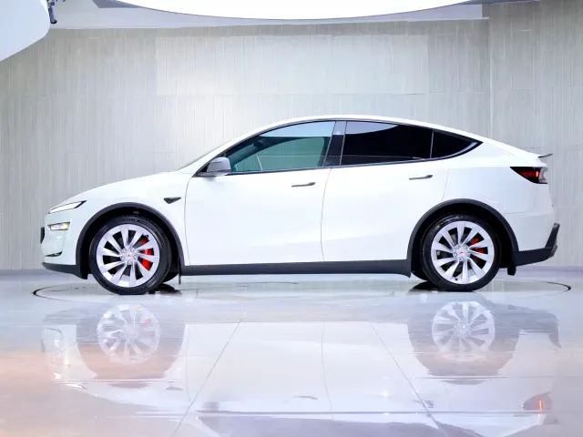 Tesla Model Y — Фото автомобиля 4