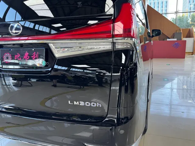 Lexus LM — Фото автомобиля 11