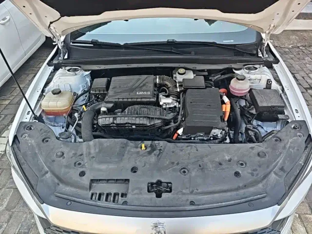 BYD Qin PLUS — Фото автомобиля 19