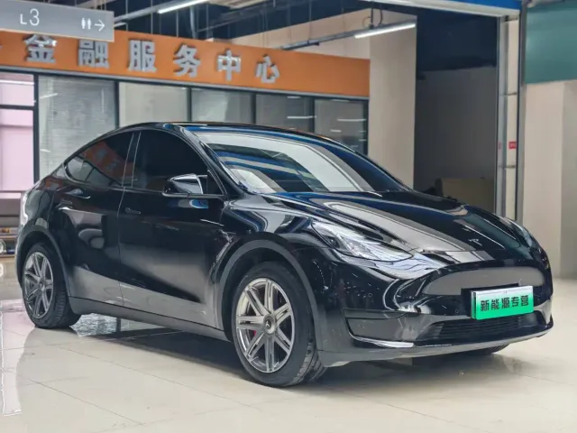 Tesla Model Y — Фото автомобиля 2
