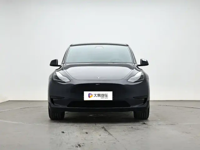Tesla Model Y — Фото автомобиля 2