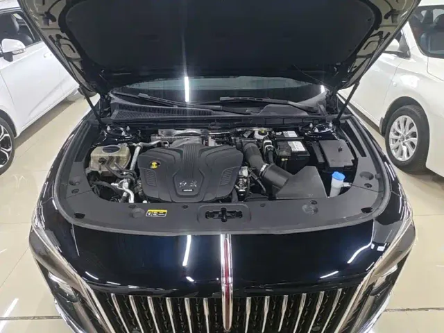 Hongqi H5 — Фото автомобиля 19