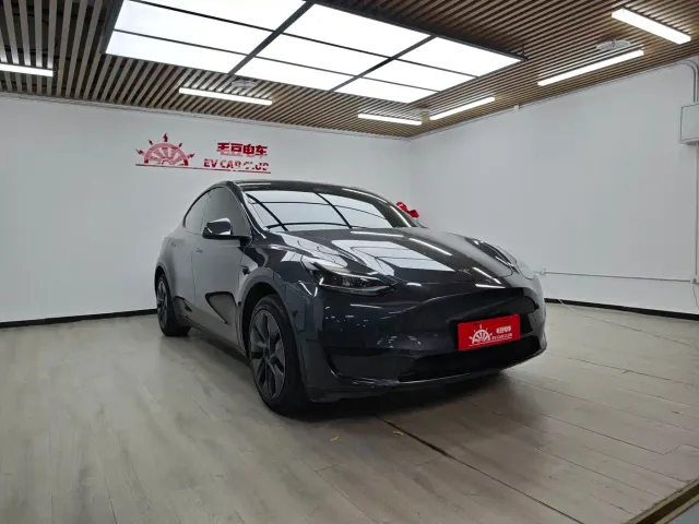 Tesla Model Y — Фото автомобиля 2