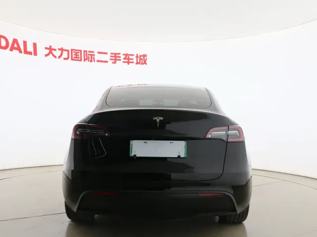 Tesla Model Y — Фото автомобиля 13
