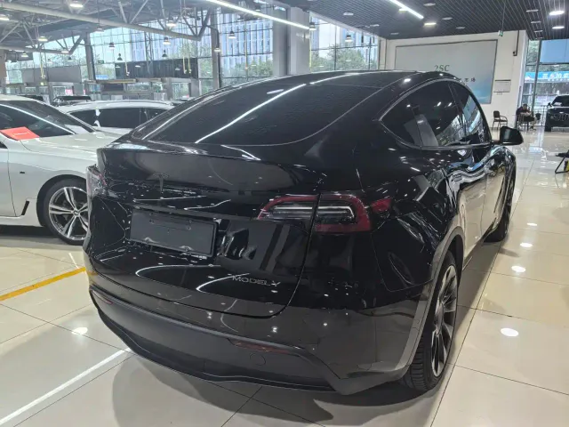 Tesla Model Y — Фото автомобиля 11