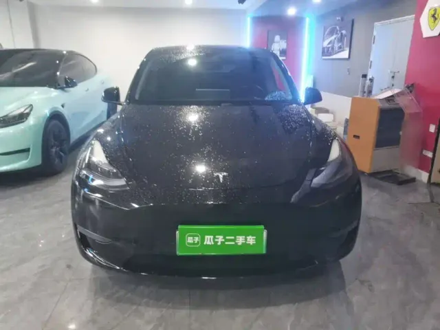 Tesla Model Y — Фото автомобиля 2