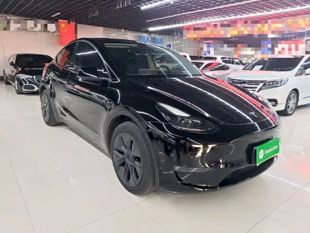Tesla Model Y — Фото автомобиля 3