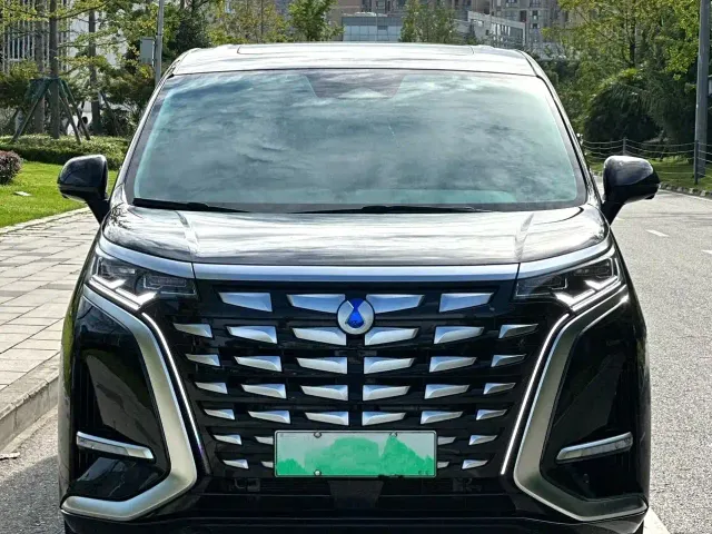 Denza D9 — Фото автомобиля 2