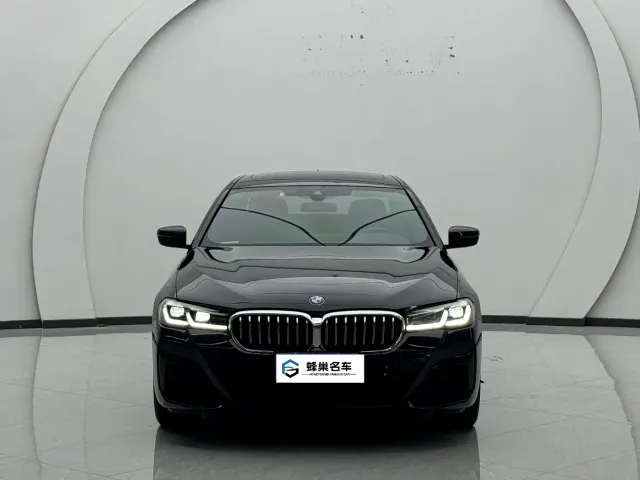 BMW 5 Series — Фото автомобиля 2