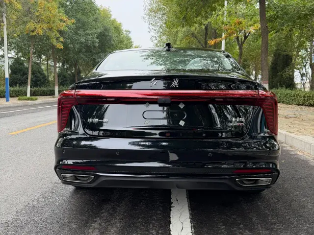 Hongqi H5 — Фото автомобиля 6