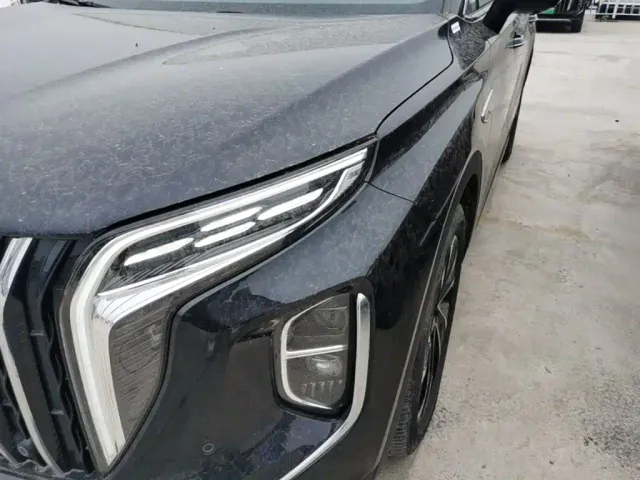 Hongqi HS7 PHEV — Фото автомобиля 23