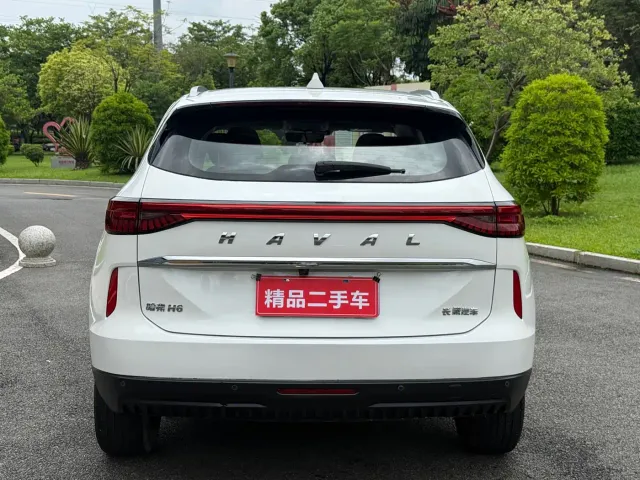 Haval H6 — Фото автомобиля 6