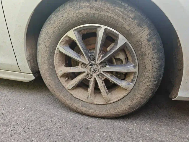 BYD Qin PLUS — Фото автомобиля 25