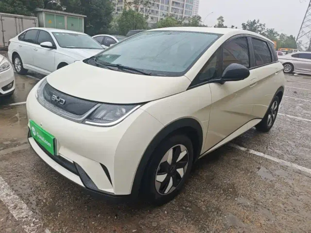 Фотография автомобиля — BYD Dolphin