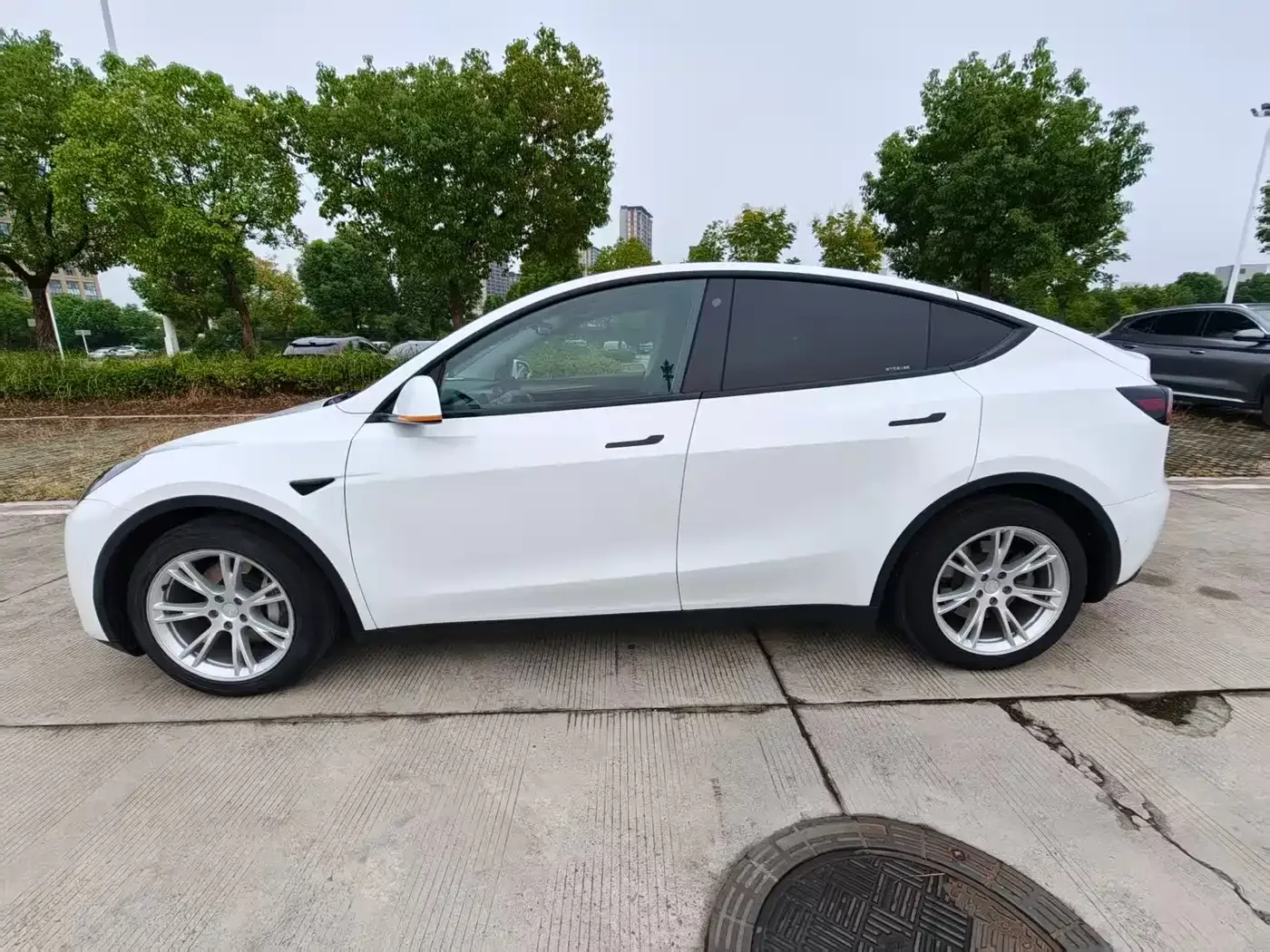 Tesla Model Y 2021 Standard Range Rear-Wheel Drive — Фото автомобиля 4