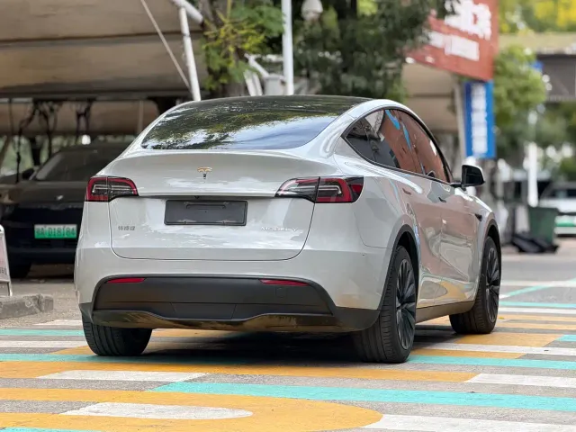 Tesla Model Y — Фото автомобиля 6