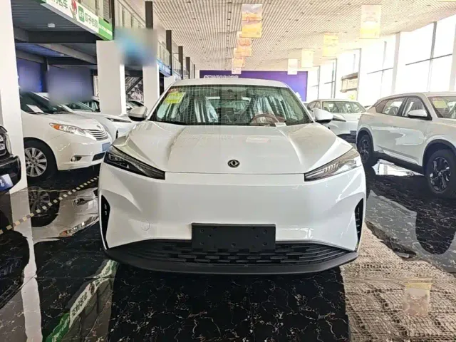 Dongfeng SKY EV01 — Фото автомобиля 2